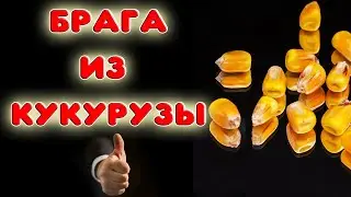 РЕЦЕПТ ПРИГОТОВЛЕНИЯ БРАГИ ИЗ КУКУРУЗЫ. Делаем кукурузный виски или бурбон 