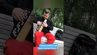 Органная композиция И.С. Баха, которую слышал каждый!!! Исполняет баянист на аналоге баяна 