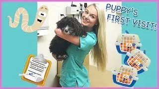 Puppys First Vet Visit | What to Expect