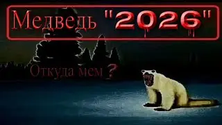 Медведь 2026 - Откуда мем ?