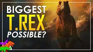 About How Big Could T. rex Get? | TYRANT FILES