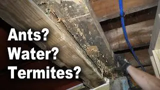 How to Replace Rotted Sill Plate with Header Over Basement Bulkhead Opening