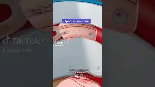 процесс зачатия #невероятно #рекомендации