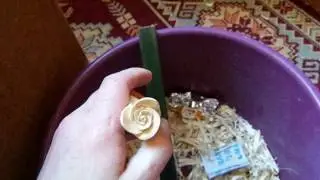 Как вырезать розу, резьба по дереву. Урок начинающим.carved rose with one’s hands