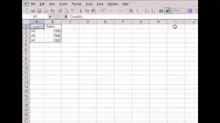 How to Delete Duplicates in Excel 2003