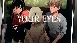 Spy x Family - YOUR EYES - [AMV]