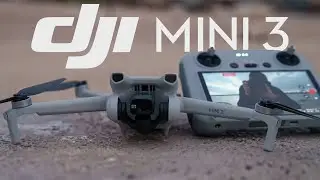 NEW DJI Mini 3, excellent beginner drone