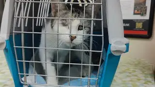 Поездка в Ставрополь.
