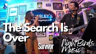 The Search Is Over - Survivor | Maddy VD | NightBirds Music