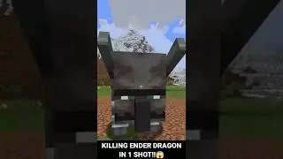 killing Ender dragon in 1 shot!! #minecraftnewupdate #minecraftupdate #minecraft15