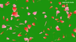 HEART SHOWER GREEN SCREEN EFFECT 2021 [4K VIDEO]