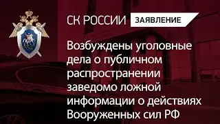 Возбуждены уголовные дела о распространении заведомо ложной информации о действиях ВС РФ