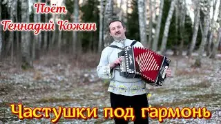 Частушки под гармонь (Беряковская). Поёт Геннадий Кожин. Вологодские частушки.