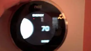 Nest Review