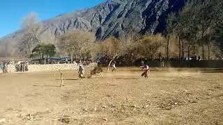 Marcada en Inkamayo. Quebrada  del toro Salta