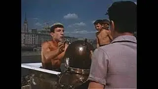 Корова не бодается!