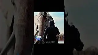 Malikul Hind 🔥Aurangzeb Alamgir status | Sultan ul Hind #shorts #youtubeshorts #trending#viral#islam