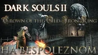 Dark Souls 2 - Crown of the Old Iron King  [#1]