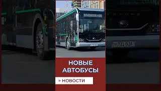 Новые автобусы в Томске, маршрут 19 