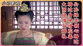 神雕P9：公孙绿萼一见杨过便倾心，杨过大闹绝情谷婚礼 #影视解说 #武侠