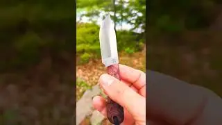 LT Wright Frontier Trapper. Small but Mighty. #survivalknife #youtubeshorts #camping #bushcraft #edc