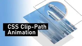 CSS Transition animation with clip-path : Create great looking hover animations