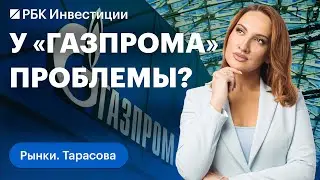 Акции «Газпрома» или НОВАТЭКа: кто лучший в нефтегазовом секторе, и возможное IPO Telegram