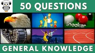 General Knowledge Quiz Trivia #174 | Eagle, The Simpsons, Snooker Ball, War Invasion, La La Land