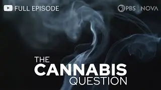 The Cannabis Question I Full Documentary I NOVA I PBS