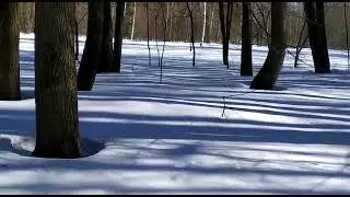 Подмосковное детство А.С. Пушкина