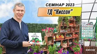 Семінар ТД 