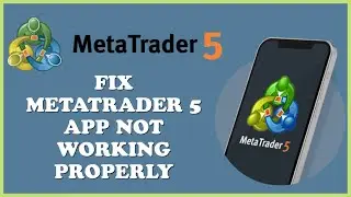 How to Fix Metatrader 5 App Not Working Properly 2024?