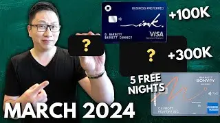 Best Business Credit Card Bonus Offers Right Now! March 2024 | 5 Free Nights