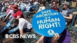 Breaking down Floridas newly enacted abortion law