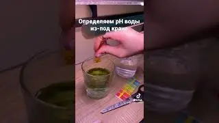 Определяем pH воды из-под крана дома самостоятельно