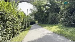 A shaded stroll along a wooded trail on a sunny day