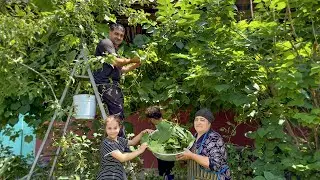 HARVESTING GRAPE LEAVES | GRANNY COOKING SUPER DISH IN THE OVEN | RELAXING VILLAGE | RURAL LIFE