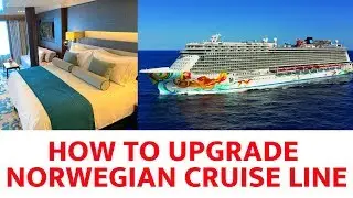 How To Bid For A Stateroom Upgrade on Norwegian Cruise Line (2019)