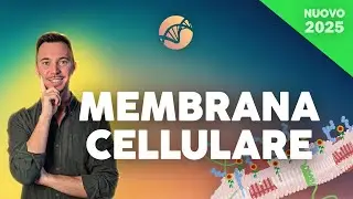 La membrana Cellulare | Corso di Biologia Cellulare 2025