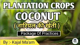 Plantation Crop - Coconut || Horticulture || By :- Kajal Ma'am