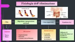 Eliminazione intestinale OSS+S