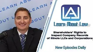 Shareholders’ Rights to Inspect Company Records of Illinois LLCs and Corporations | Learn About Law