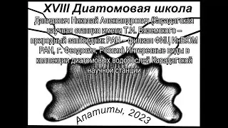 Интересные виды в коллекции диатомовых водорослей Карадагской научной станции