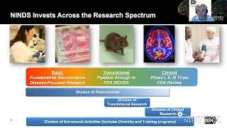 Leadership Opportunities - American Academy of Neurology