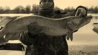 Огромные щуки монстры.История трофеев /history of trophies/ .