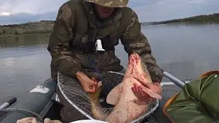 Рыбалка на сазана 💥!!!! МЕТРОВАЯ ТОРПЕДА на обычные снасти