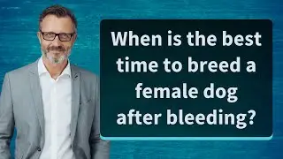 When is the best time to breed a female dog after bleeding?