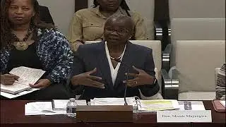 Subcommittee Hearing on Examining the FY 2024 State and Foreign Operations Budget Request for Africa