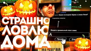 🎃СТРАШНО ЛОВЛЮ ДОМА С ЧИТАМИ НА DIAMOND RP & СЛОВИЛ 3 БИЗНЕСА GTA SAMP