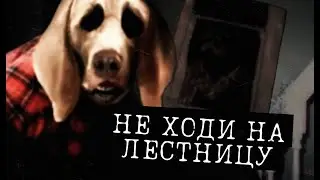 СОБАЧИЙ КОШМАР ИЗ ДЕТСТВА | Dog Nightmares